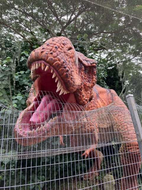 ハブアンドスポーク